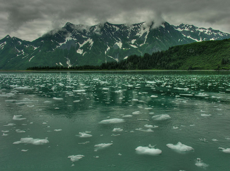 Kenai Fjords, Alaska