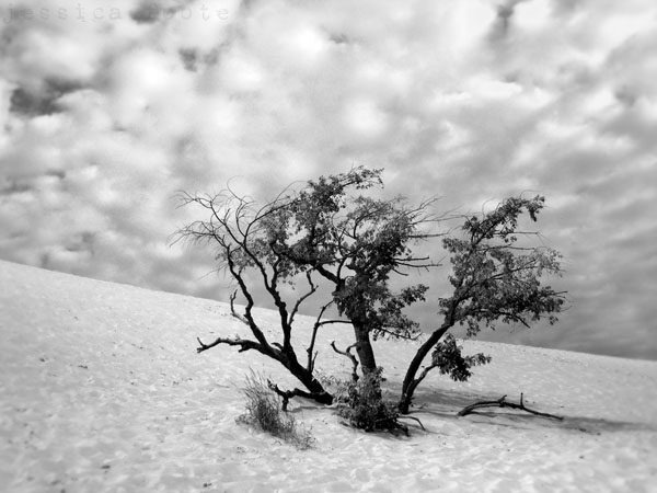 Sleeping Bear Dunes, Michigan